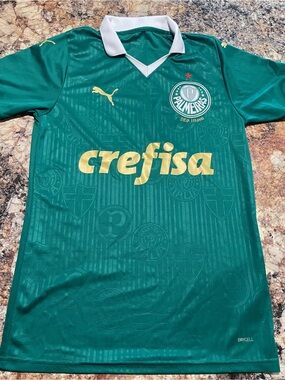 Palmeiras Soccer Jersey Puma Green Men's